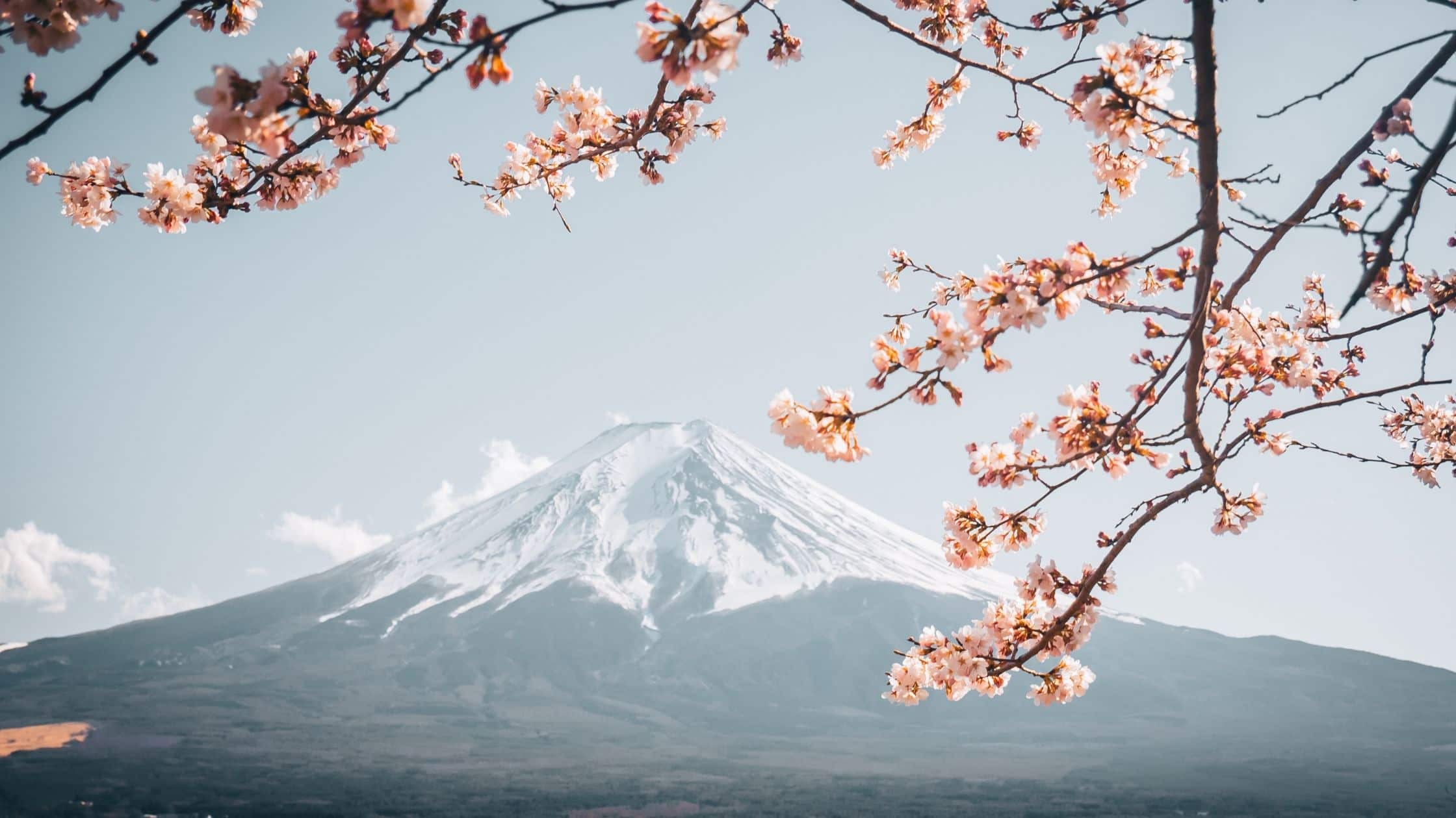 Japan country guide - employment laws and hiring regulations