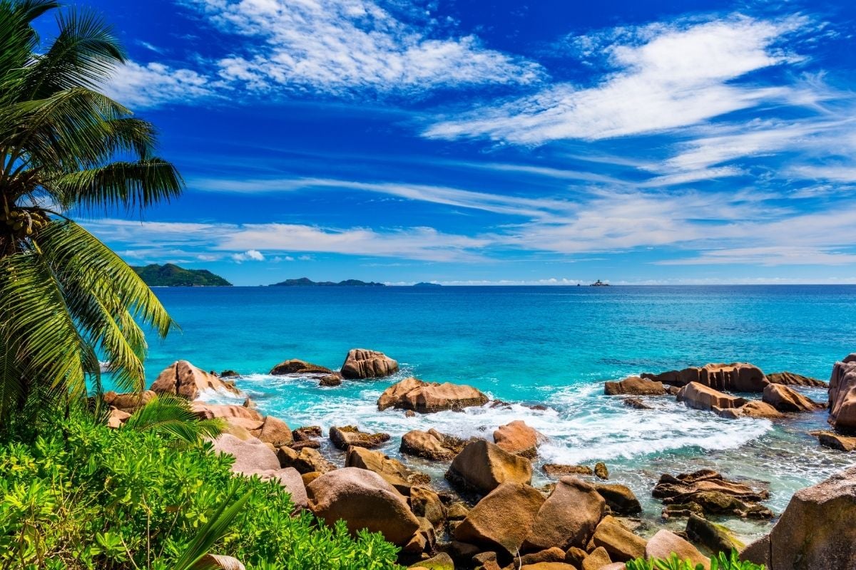 Doing Business Seychelles