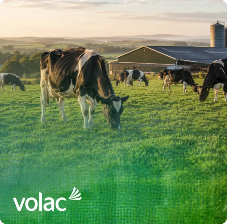 Volac: 3 KAM hires in Europe — and a stalled Germany role, unblocked