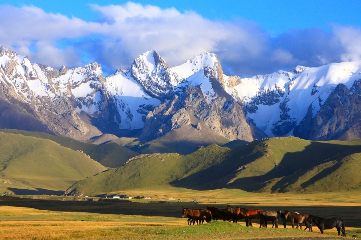Work Visa in Kyrgyzstan