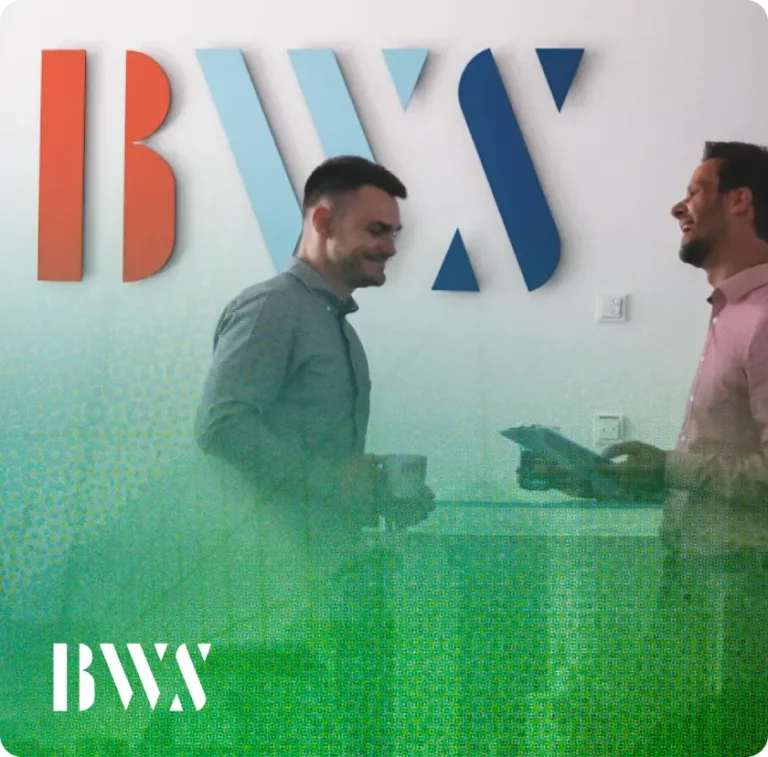 BWS Consulting Group